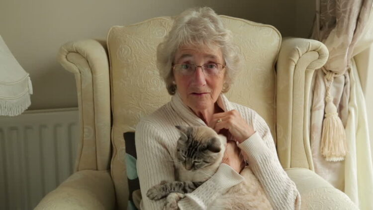 Gruaja i lë trashëgimi 2,6 milionë euro kafshëve në vend të fëmijëve të saj