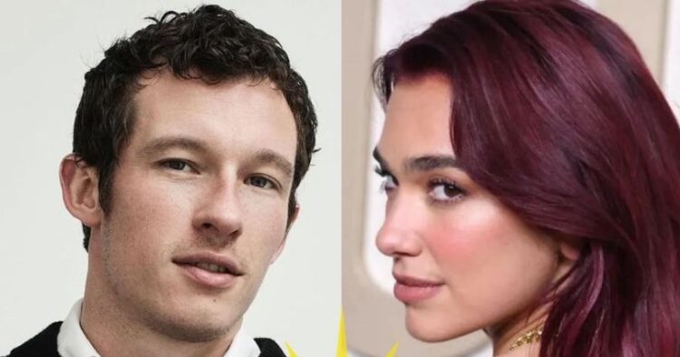 Do të pëlqehet apo urrehet, ju prezantojmë të dashurin i ri të Dua Lipës!