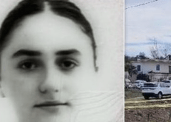 Dyshohej se nuk e bëri e vetme, arrestohen edhe dy vëllezërit e 19-vjeçares