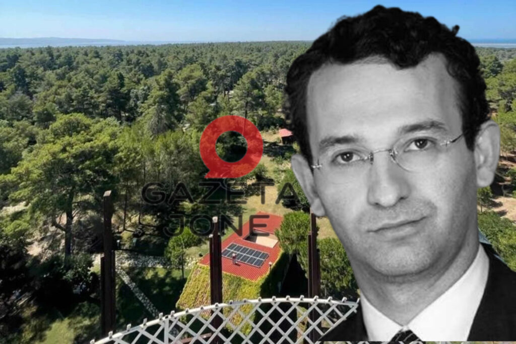 Erjon Braçe dhe investitori turk bashkëpunojnë për shkatërrimin e Divjakës