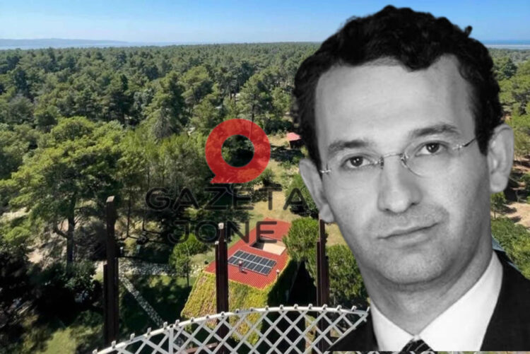 Erjon Braçe dhe investitori turk bashkëpunojnë për shkatërrimin e Divjakës