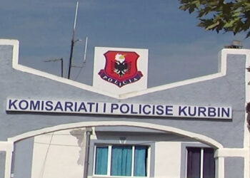 Historia përsëritet, krimi i gjyshes së Hygertës në vitin 2010