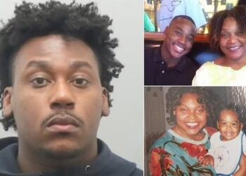 E rëndë! Ish-futbollisti qëllon për vdekje me armë zjarri nënën e tij