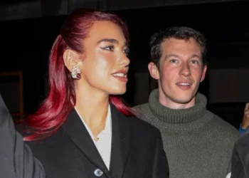 VIRALE! “Bodyguard-i” i Dua Lipës i hedh telefonin nga duart fanses