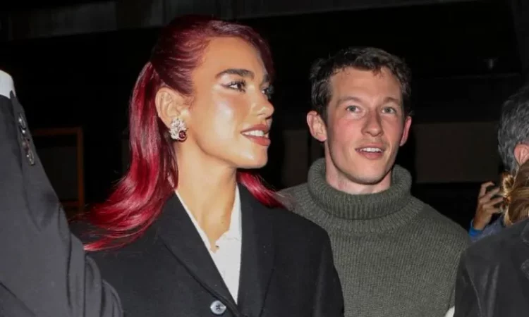 VIRALE! “Bodyguard-i” i Dua Lipës i hedh telefonin nga duart fanses