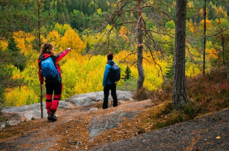 Katër filozofi për jetën që kanë njerëzit në vendin më të lumtur të botës