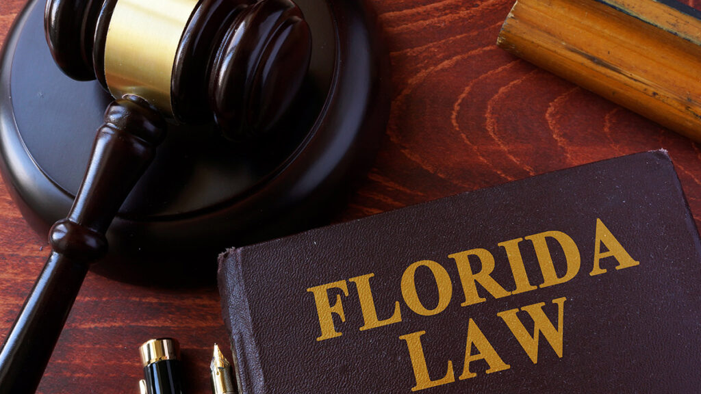 Florida miraton ligjin që kufizon aksesin e fëmijëve në mediat sociale