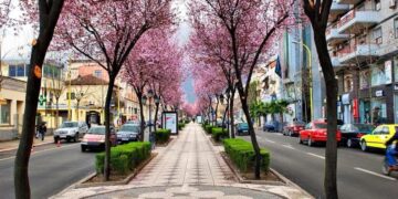 Sot shënohet dita e parë e pranverës, por pse në disa vite vjen më herët?