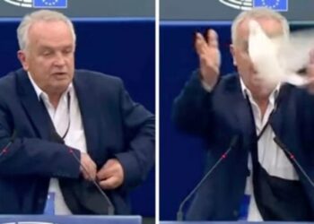 VIDEO/Eurodeputeti sllovak lëshon pëllumbin në Parlament si simbol i paqes