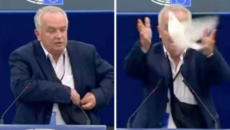 VIDEO/Eurodeputeti sllovak lëshon pëllumbin në Parlament si simbol i paqes