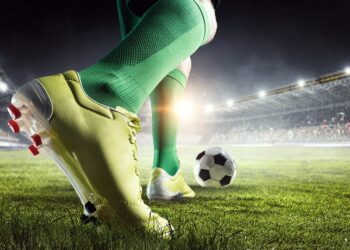 Ylli argjentinas kërcënohet me jetë