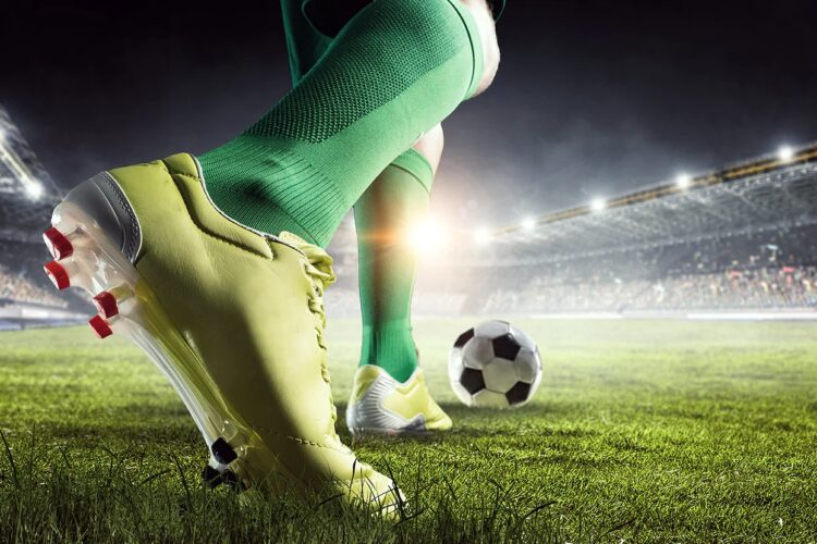 Ylli argjentinas kërcënohet me jetë