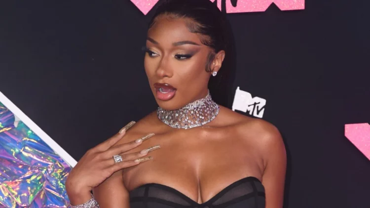 Punonjësi padit Megan Thee Stallion: Më ofendoi & bëri seks para syve të mi