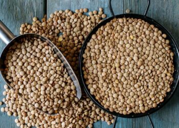 A janë thjerrëzat të shëndetshme për ju? Ja çfarë duhet të dini