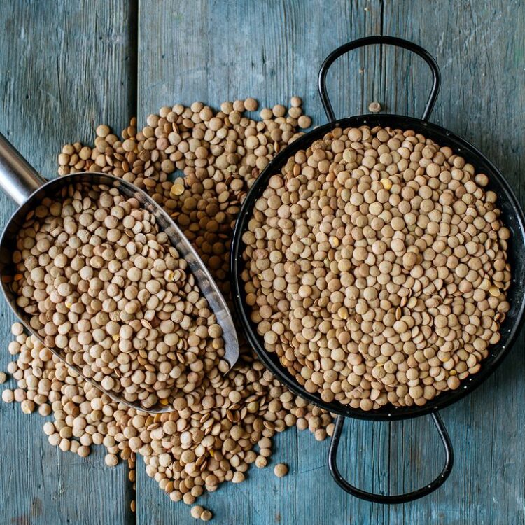 A janë thjerrëzat të shëndetshme për ju? Ja çfarë duhet të dini