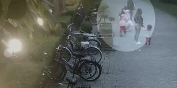 Tragjedia në Shkodër, zbardhen detaje të reja