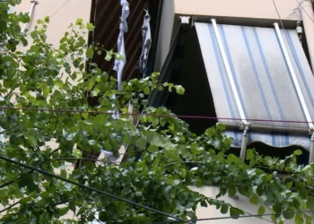 Zbardhet dëshmia e shoqes së dy të rejave që u gjetën të vdekura në Tiranë