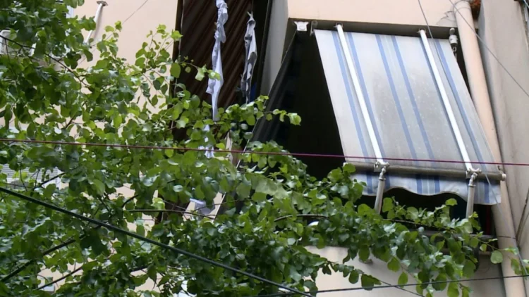 Zbardhet dëshmia e shoqes së dy të rejave që u gjetën të vdekura në Tiranë