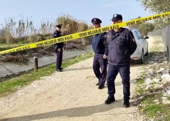 E rëndë në Lushnjë! Pas sherrit, babai plagos me thikë djalin