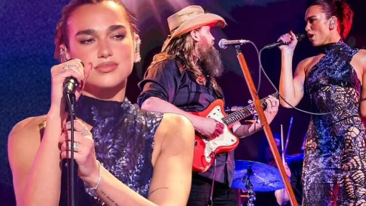 Shfaqja surprizë e Dua Lipës, performon për herë të parë “country”