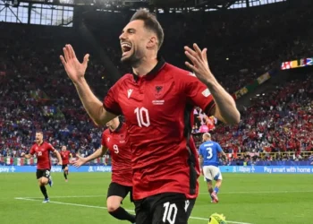 Mbyllet ankandi i fanellave të kuqezinjve, ja cila pati çmimin më të shtrenjtë