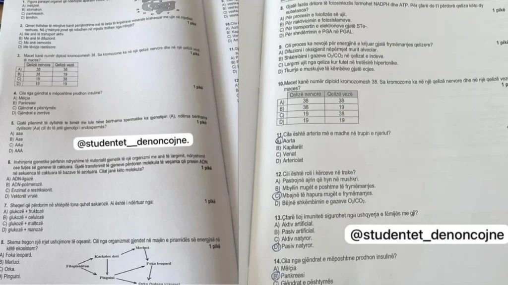 Zhvillohet provimi i fundit i Maturës Shtetërore! Tezat publikohen në rrjete sociale