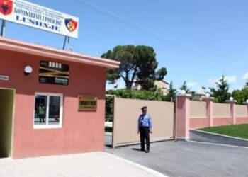 Dy nëna në Lushjë humbin kontaktet me djalin dhe vajzën