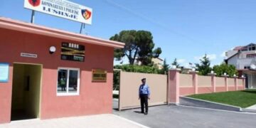 Dy nëna në Lushjë humbin kontaktet me djalin dhe vajzën