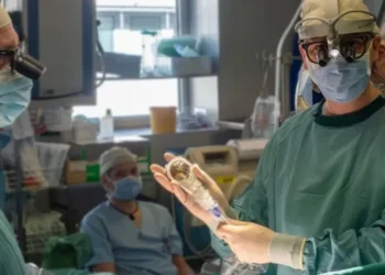 Zbulimi i rrallë: Tharësja e flokëve rigjeneron indin e zemrës