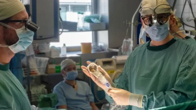 Zbulimi i rrallë: Tharësja e flokëve rigjeneron indin e zemrës