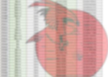 Ndodh sërish/ Homeland Justice nxjerr “sheshit” të dhënat e disa qytetarëve