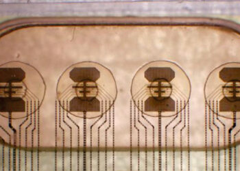 Zvicerianët bëjnë hapin e radhës në teknologji, synojnë krijimin e trurit artificial