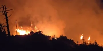 Llogaraja “merr” flakë! Prej katër orësh luftë me zjarret masive