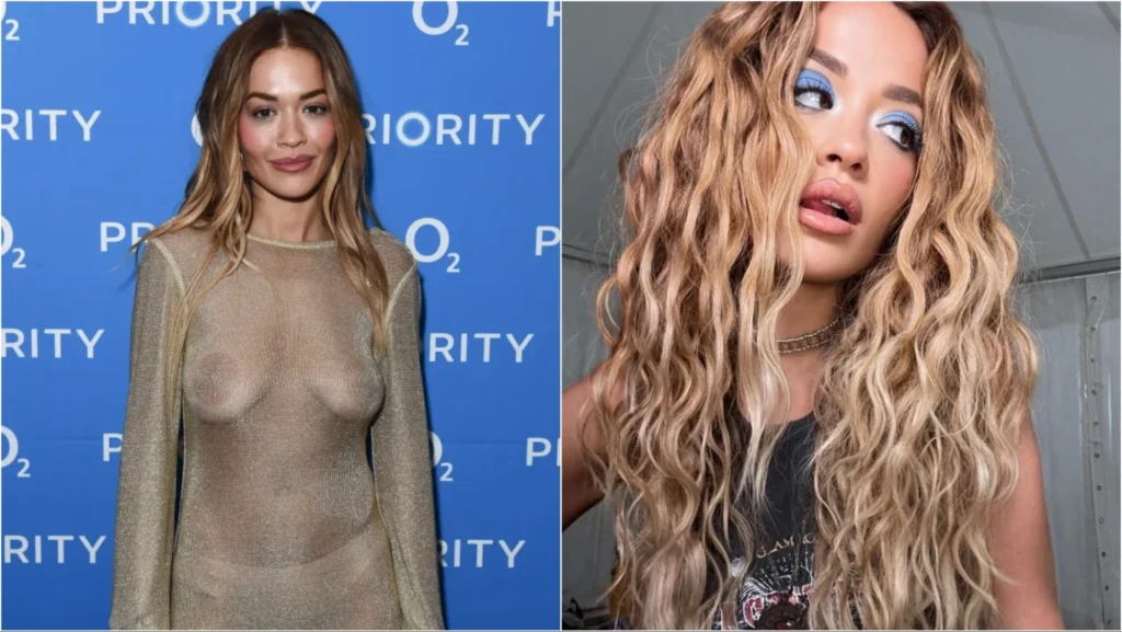 Rita s’i lë vend imagjinatës, i tregon të gjitha me fustanin transparent në koncert