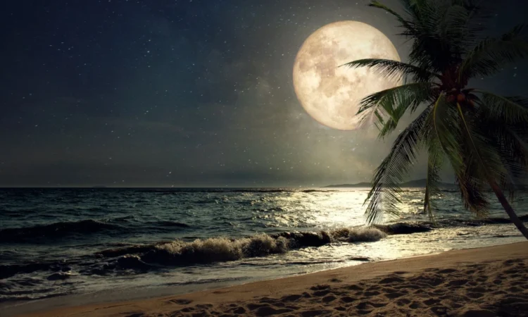 Shenjat e Zodiakut sot 21/07: Superhëna në Bricjap