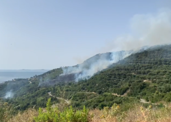 Zjarr i madh në kodrat e fshatit Radhimë, zjarrëfikësit hyjnë në ndihmë