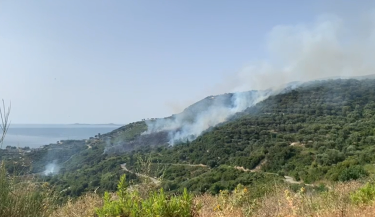 Zjarr i madh në kodrat e fshatit Radhimë, zjarrëfikësit hyjnë në ndihmë