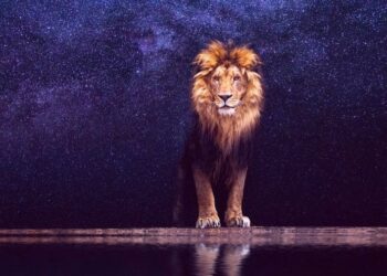 Zyrtarisht në sezonin e Luanit, ja cilat shenja janë më të favorizuara