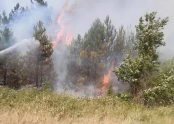 Situata e zjarreve në vend/ Vatra dhe pranë liqeneve të Lurës