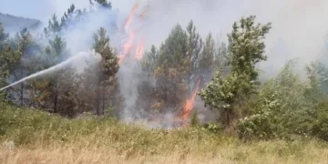 Situata e zjarreve në vend/ Vatra dhe pranë liqeneve të Lurës