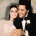 I vodhën 1 milionë dollarë, Priscilla Presley hedh në gjyq ish-bashkëpunëtorët