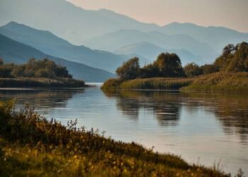 Para se të tentonte të hidhej nga ura me fëmijët, 27-vjeçarja telefonoi një familjar