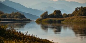 Para se të tentonte të hidhej nga ura me fëmijët, 27-vjeçarja telefonoi një familjar