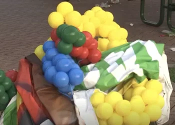 E rëndë/ Djali 3-vjeçar vritet nga të shtënat me armë zjarri në një festë