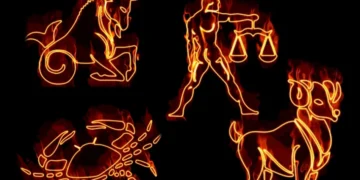 Dashi, Gaforrja, Peshorja, Bricjapi: Ana e tyre e errët