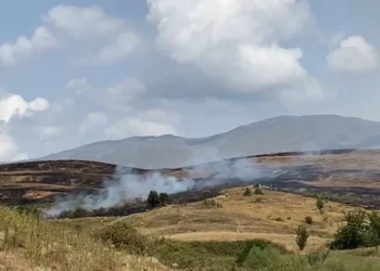 Zjarr i madh në Blacë dhe Podgorie, banorët dhe zjarrfikësit në “luftë” me flakët