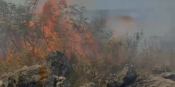 Delvinë/ Zjarri shkrumbon masivin pyjor, rrezikon të përhapet afër banesave