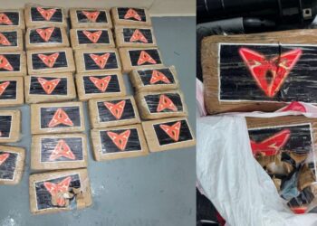 Uragani Debby nxjerr zbuluar kokainë me vlerë 1 milion dollarë në plazhin e Floridës