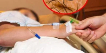 Konfirmohen dy raste me ethet e Nilit në Elbasan! Si paraqitet gjendja e tyre