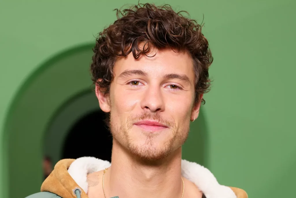 Nëpërmjet këngës së re, Shawn Mendes zbulon se ishte gati të bëhej baba